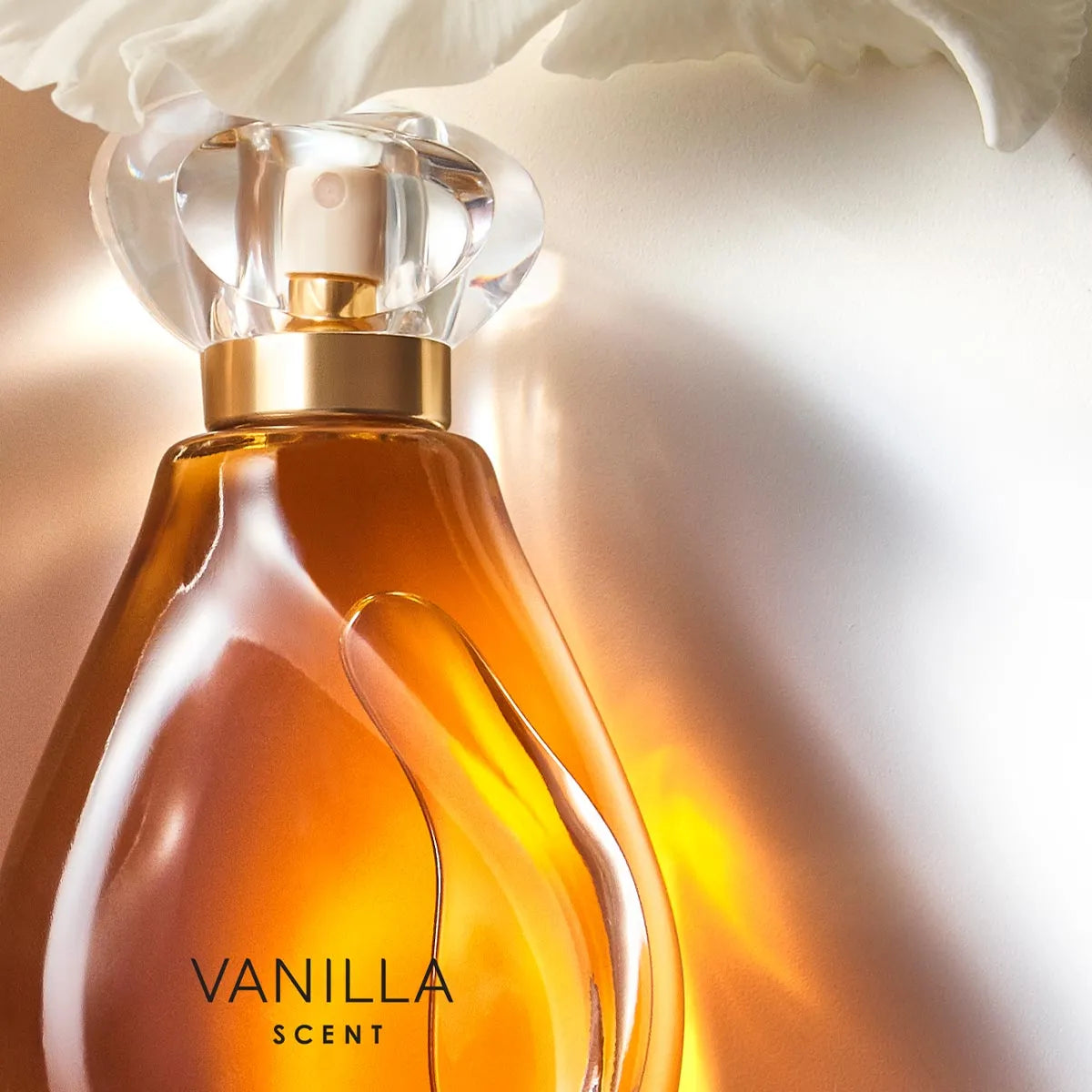 Vanilla Scent Eau de Parfum, 50 ml